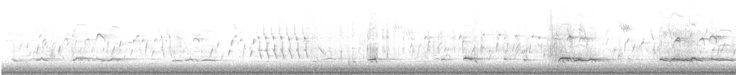 Sarcelle d'hiver (crecca) - ML636002141