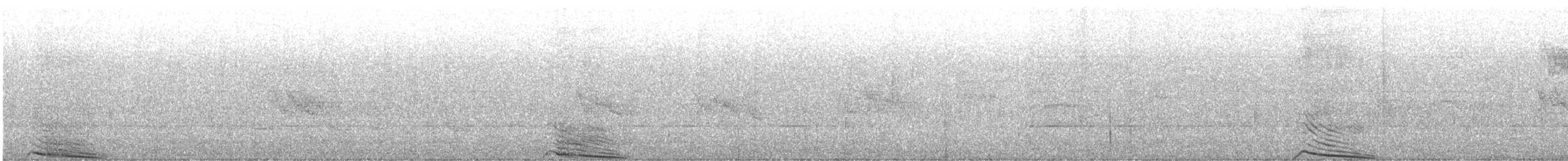 Carpophage de Nouvelle-Zélande - ML636004766