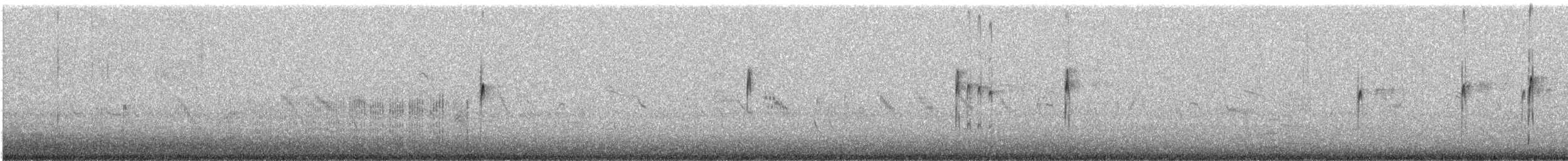 Black-fronted Dotterel - ML636005579