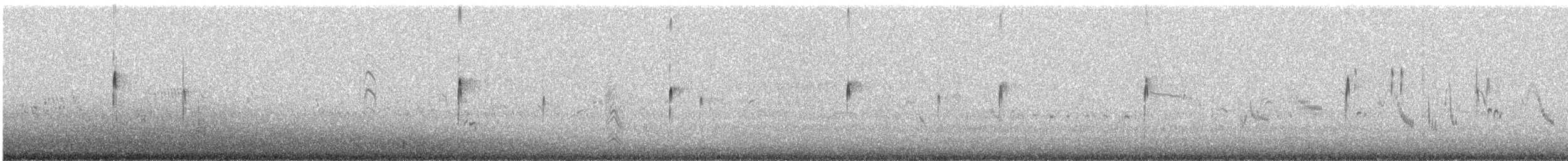 Black-fronted Dotterel - ML636005582
