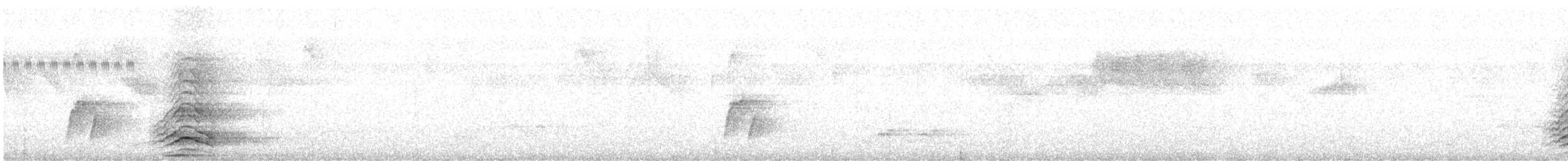 malabarhornfugl - ML636006029