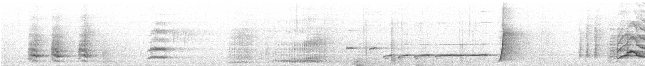 lyrochvost nádherný - ML636006326