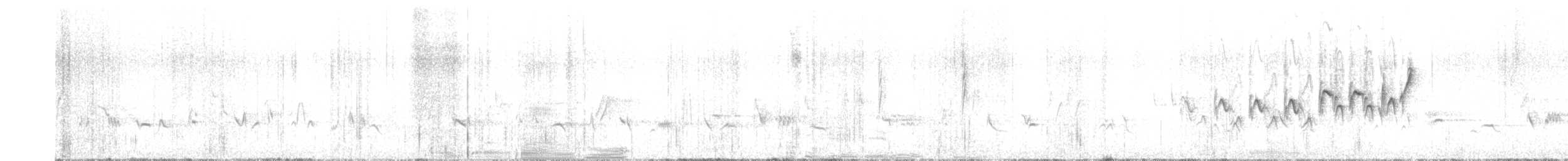 キヅタアメリカムシクイ - ML636006452