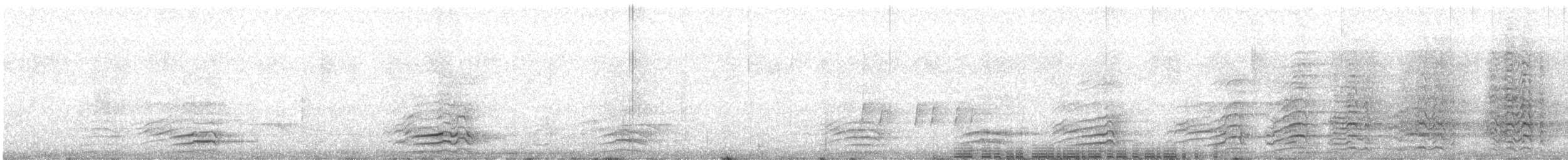 malabarhornfugl - ML636006776