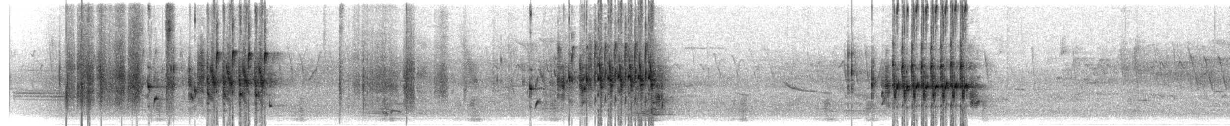 ハシナガヌマミソサザイ - ML636007570