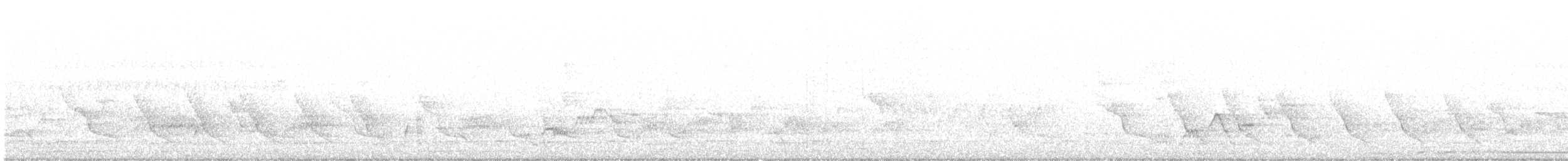 Swainson's Thrush - ML636009905