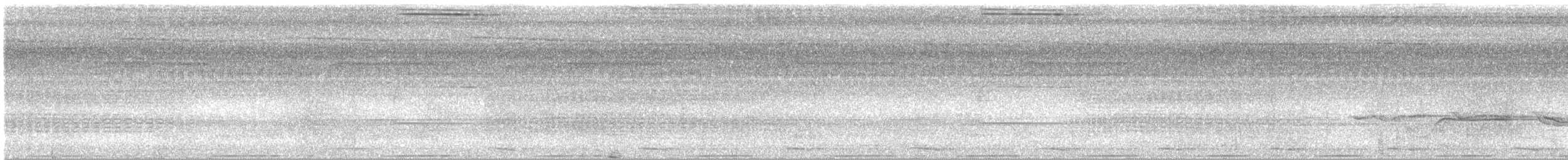 Gray-headed Babbler - ML636011686