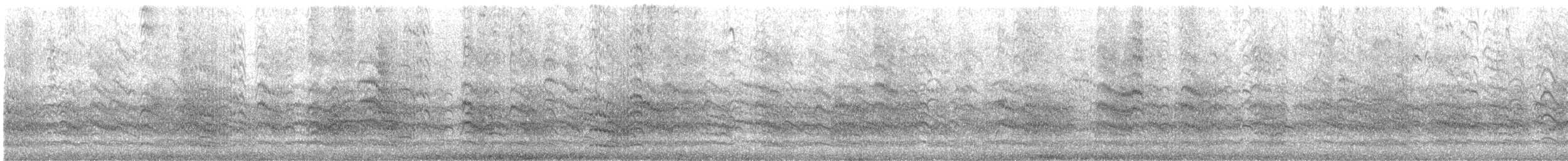 South American Tern - ML636012333