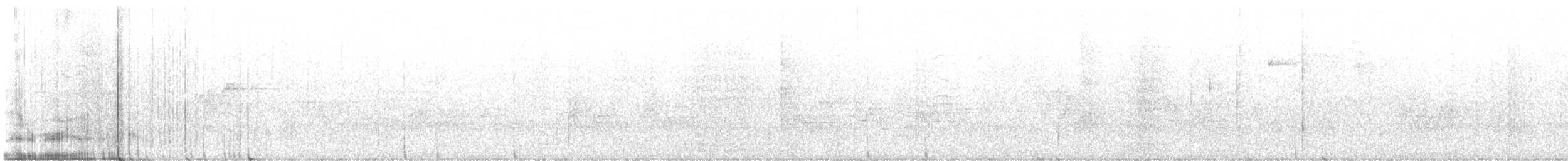 フタスジモズモドキ - ML636012390