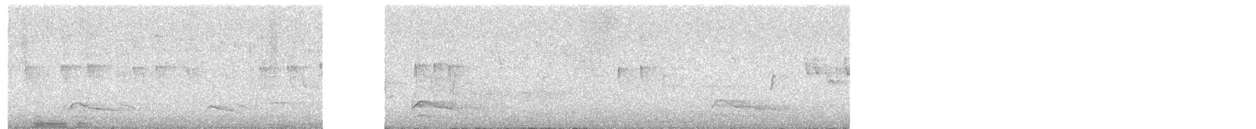 káně bělochvostá (ssp. cirtensis) - ML636015990