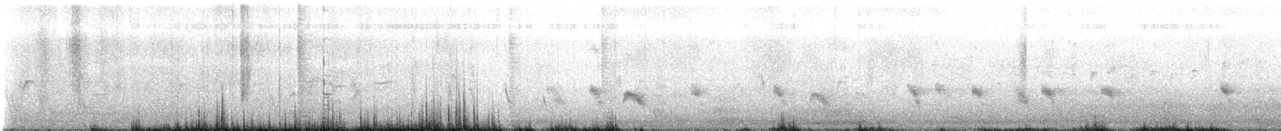 Stockente - ML636016650