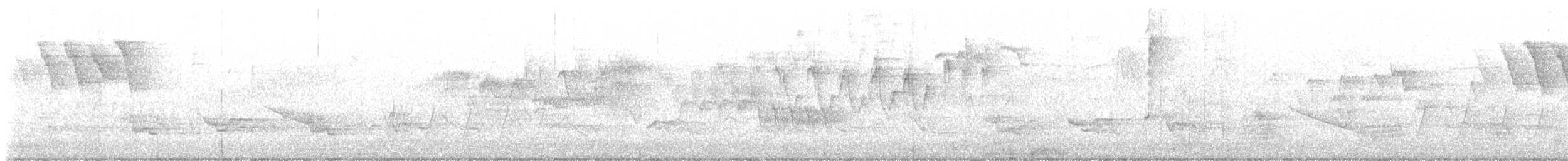 Connecticut Warbler - ML636016837