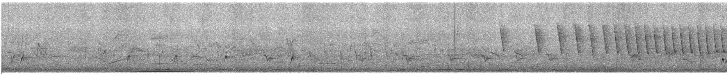 Braunschopftyrann - ML636016854