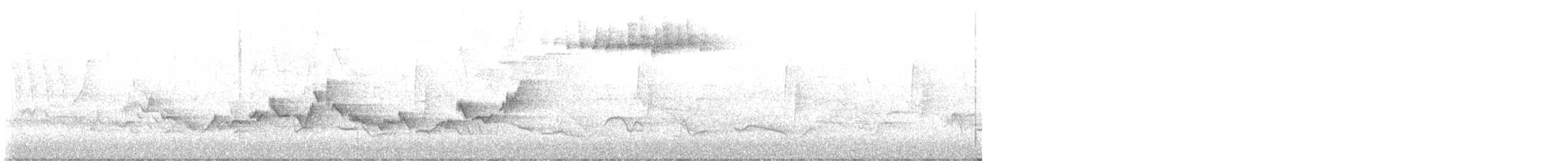 Blackpoll Warbler - ML636017310