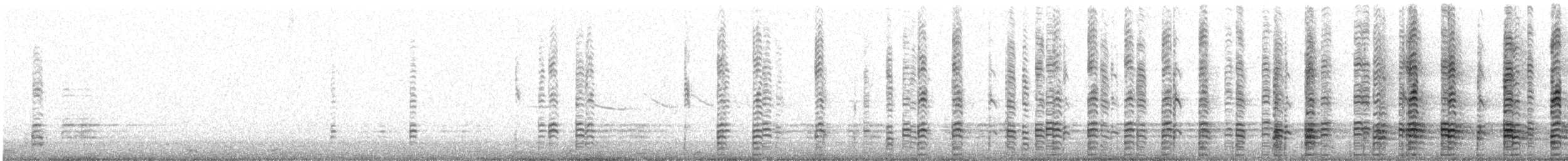 Ibis à face noire - ML636018214