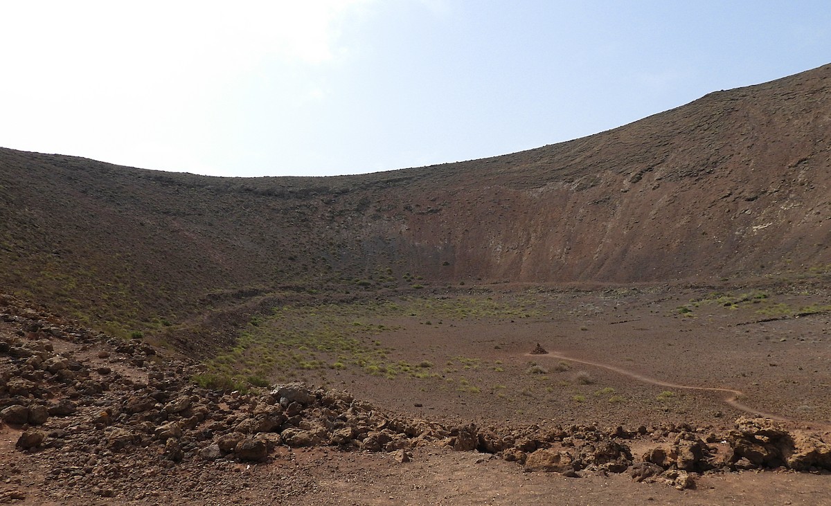 null - ML636019434