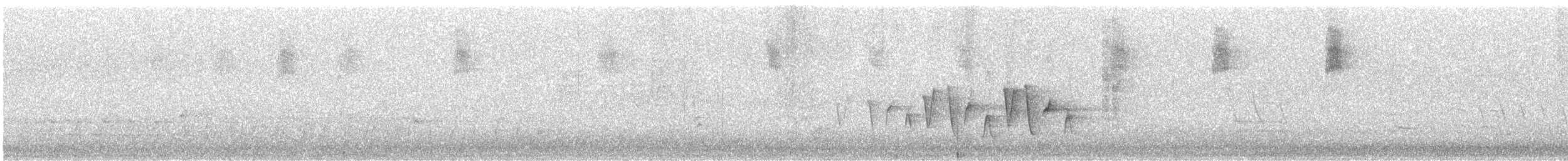Connecticut Warbler - ML636019974