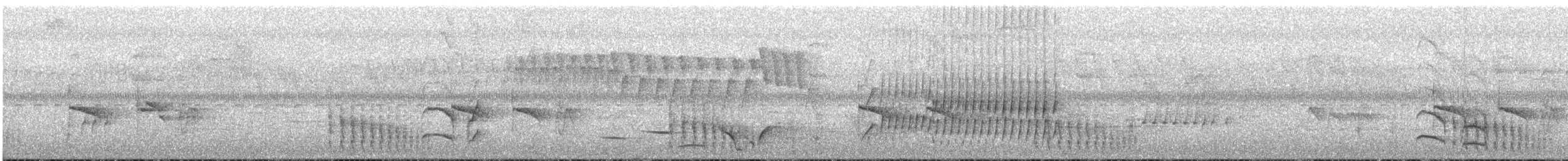 Western Fire-eye (Pacific) - ML636020289