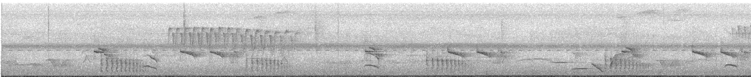 Western Fire-eye (Pacific) - ML636020304