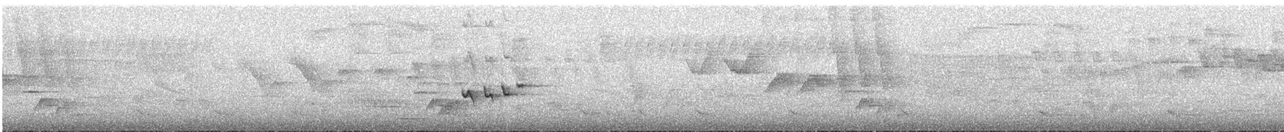 Choco Tyrannulet - ML636020565