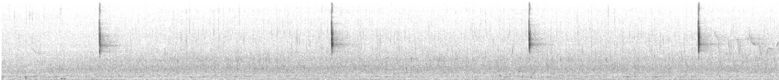 Трясогузковый певун - ML63602141