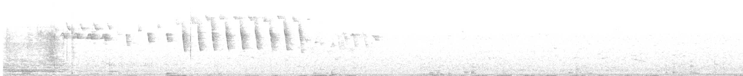 Tennessee Warbler - ML636021920