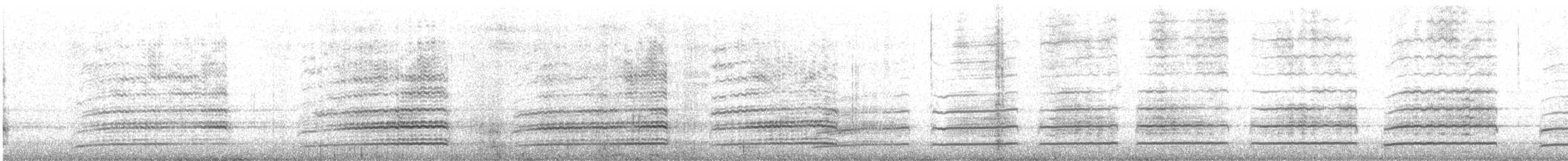 Peregrine Falcon (South American) - ML636022097