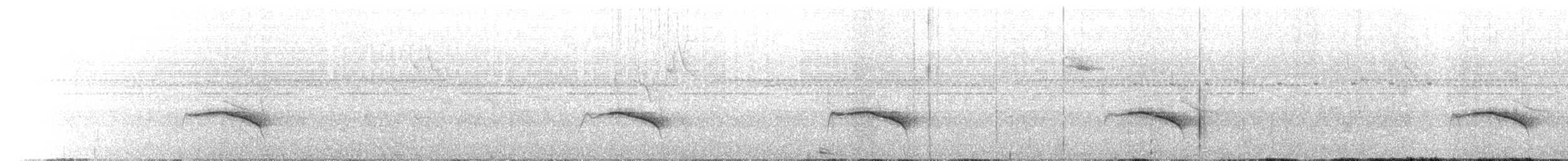 Stripe-backed Antbird - ML636022695