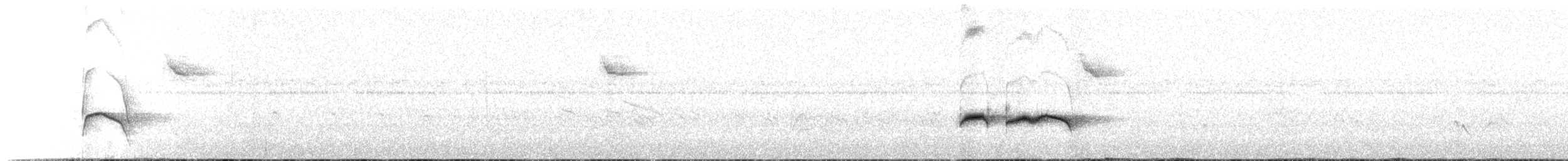 Stripe-backed Antbird - ML636022698