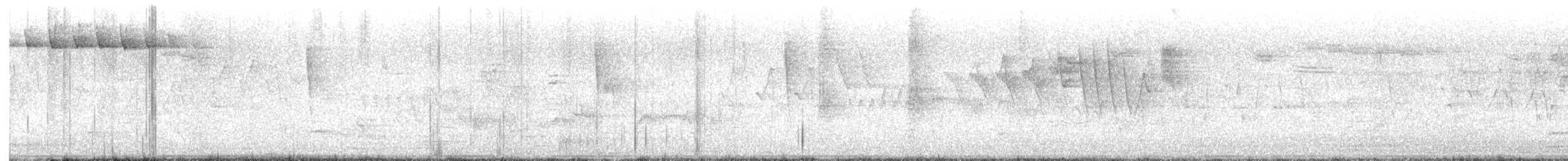 Blackpoll Warbler - ML636024309