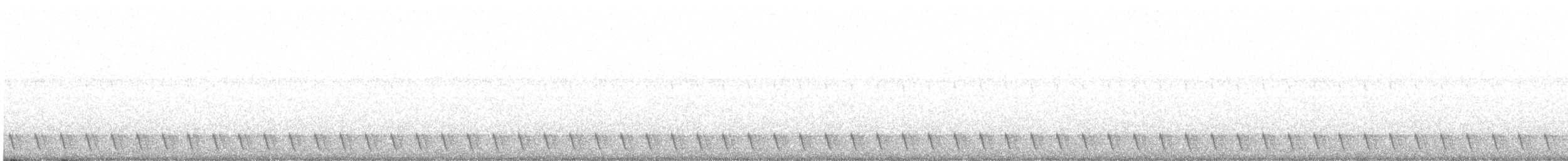 Gray Nightjar - ML636024561