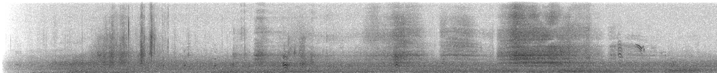 Гуска білолоба (підвид albifrons) - ML63602491