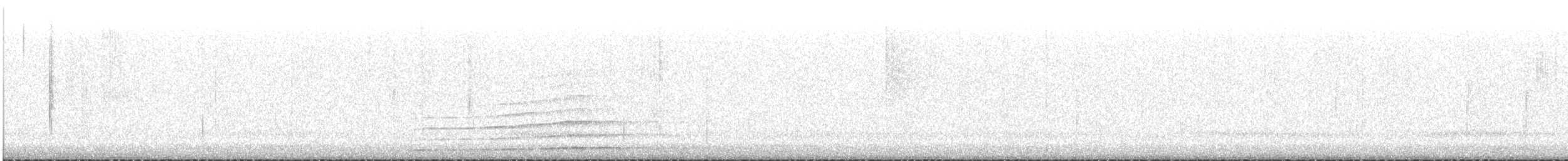 Sägekauz - ML636025432