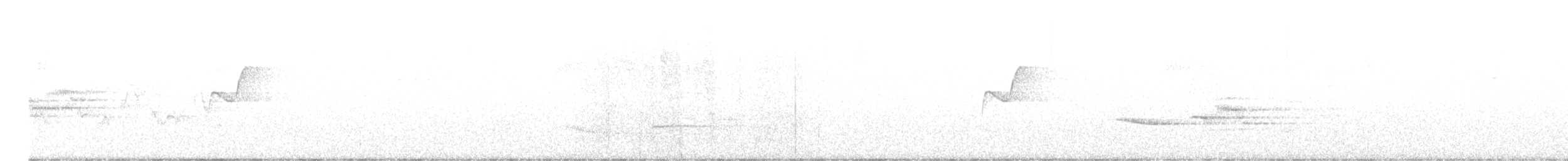Hermit Thrush - ML636028921