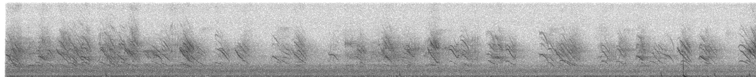 vlaštovka pestrá - ML636029248