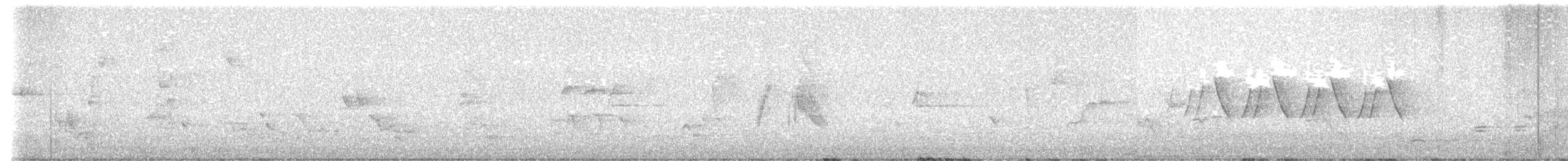 Willow Flycatcher - ML636029290