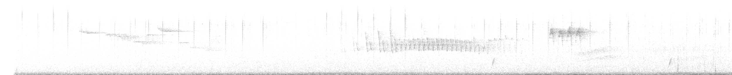 Swainson's Thrush (Russet-backed) - ML636029822