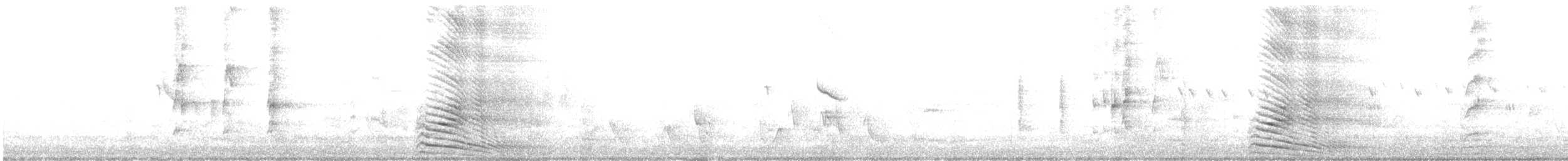 Gray Go-away-bird - ML636035496