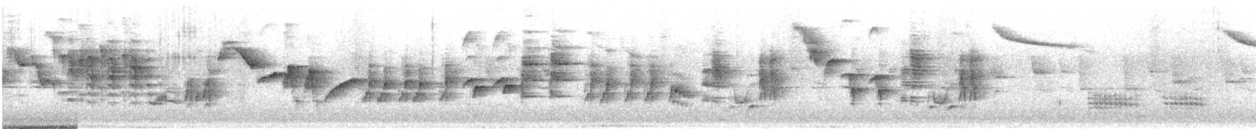 Icterine Warbler - ML636037202