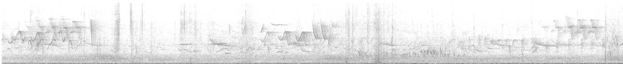 Short-billed Dowitcher - ML636037749