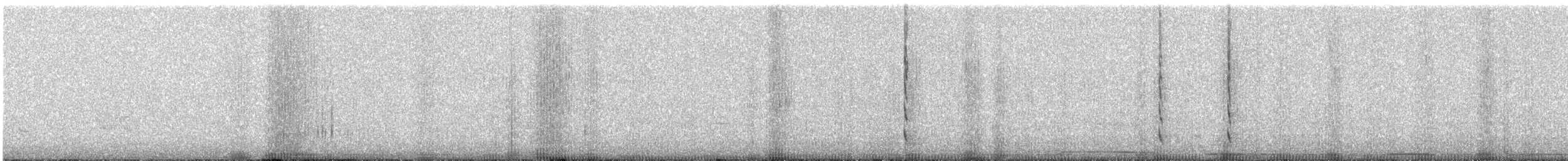 kalypta rubínohrdlá - ML63603781
