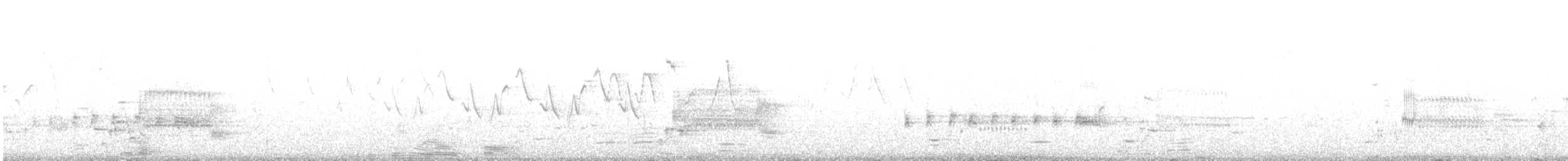 rail/crake sp. - ML636039265