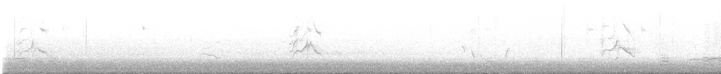 gulstillits - ML636040409