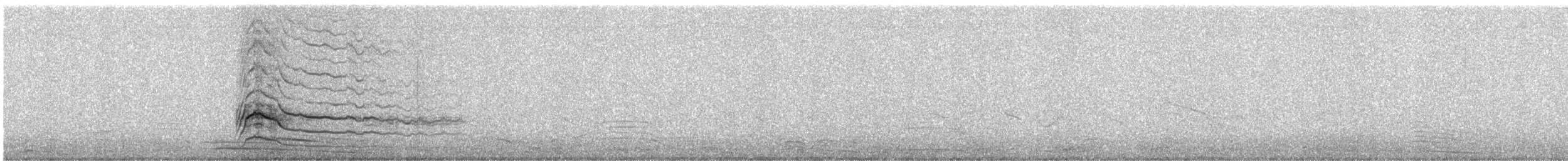 Roadside Hawk - ML636047463