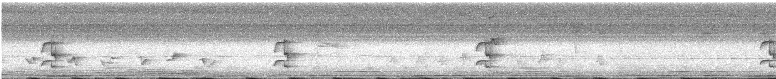 Tropical Royal Flycatcher - ML636048390