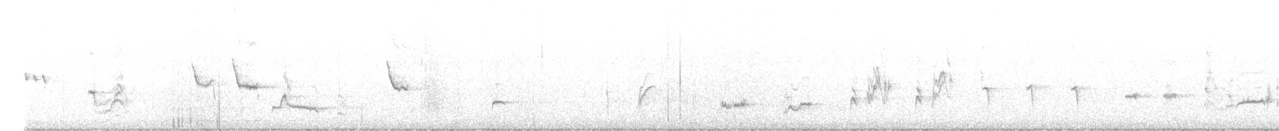 Crissal Thrasher - ML636048483