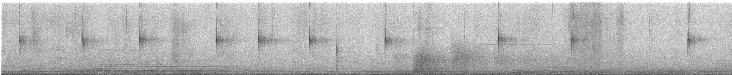 Cream-winged Cinclodes - ML636049102