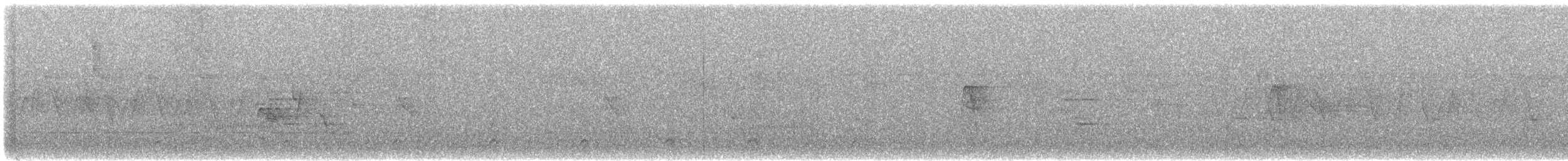 Greenish Elaenia - ML636050080