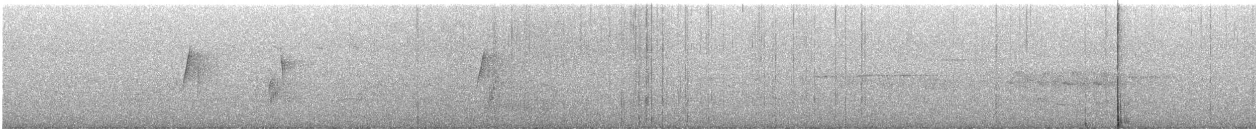 ハモンドメジロハエトリ - ML636050267