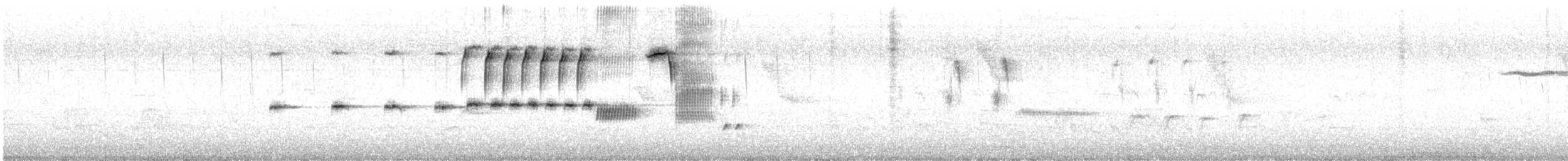 Singammer - ML636051518